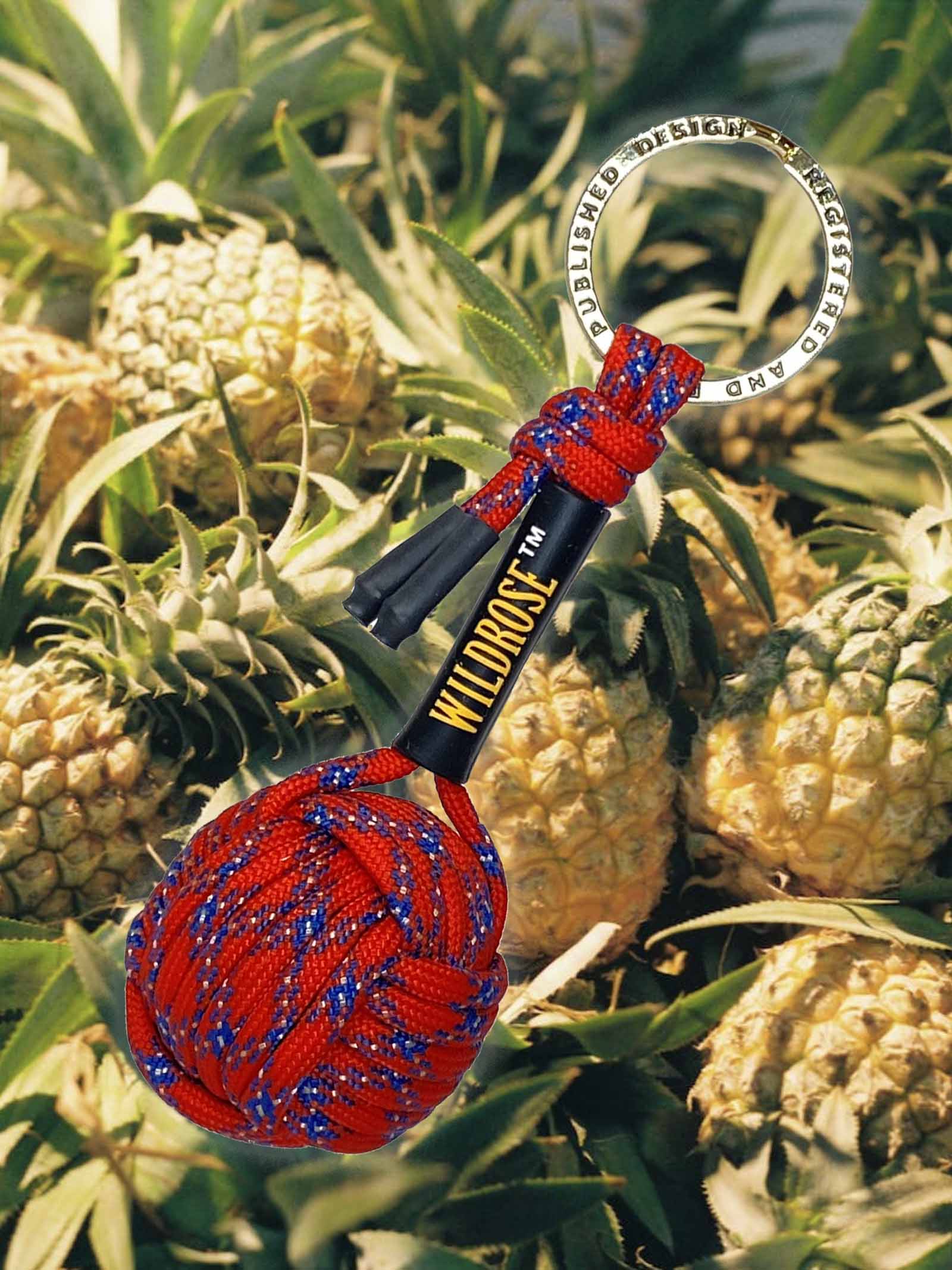 WILDROSE Mediterranean Inspiration Lancia SagolaRED - BLU