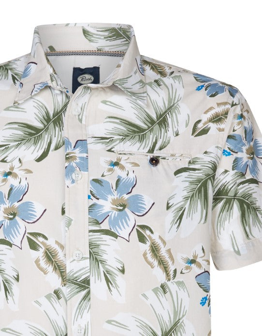 Petrol FIORI SIS418SEASHELL 0112