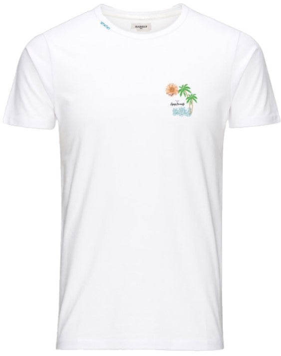 MARKUP RICAMO PALMEBIANCO